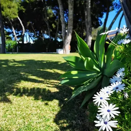 Apartamento ¡nuevo! Zona Tranquila Cerca De La Playa De La Carihuela Torremolinos